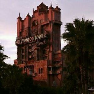 Meet your Posher, Sadie